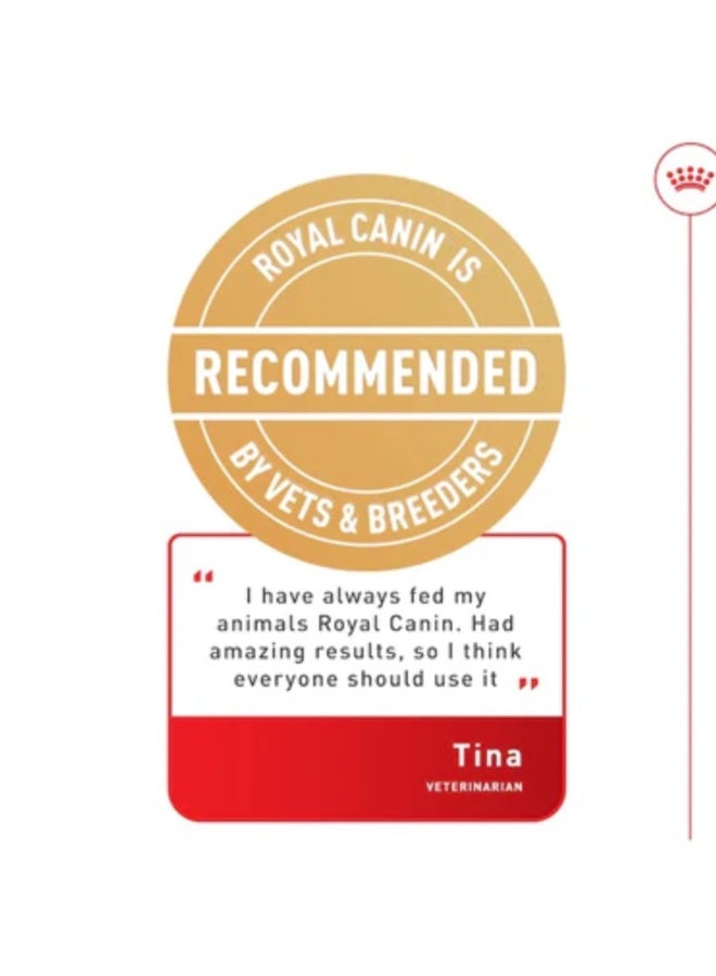 Royal Canin Breed Health Nutrition Shih Tzu Wet Food - 85G - Image 4